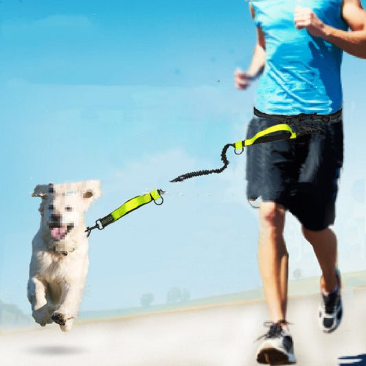 Pet Traction Rope Multifunctional