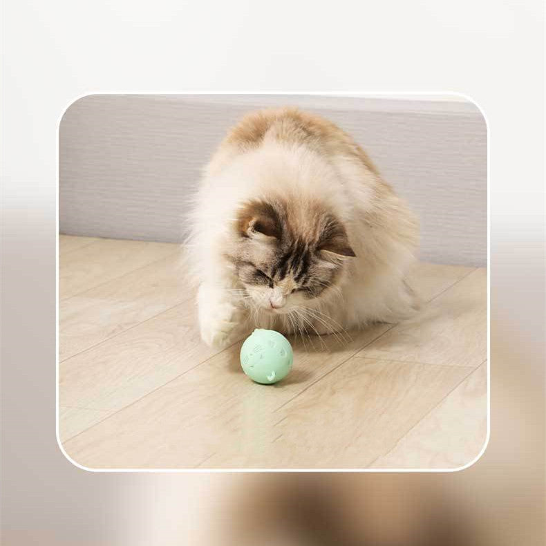 Automatic Teaser Electric Feather Cat Toy